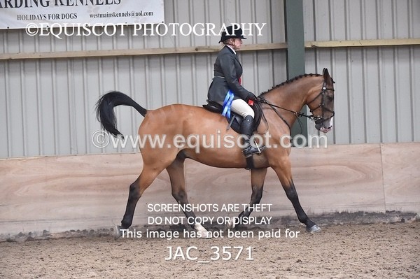 JAC_3571 - CLASS 9 BHS Scotland Riding Club Working Hunter Qualifier