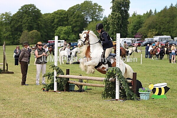 IMG_3067 - Working Hunter