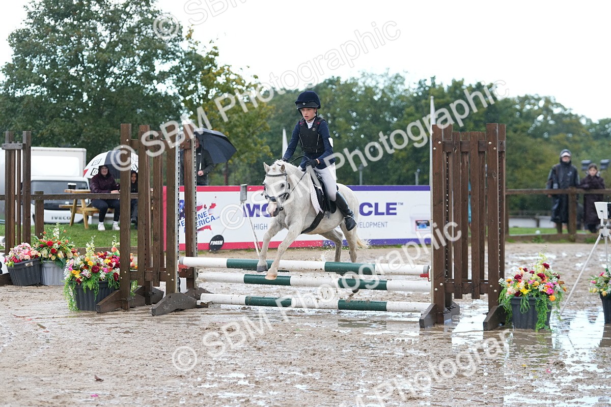 SBM_36353 - J5 - Junior Pony 50cm Championship
