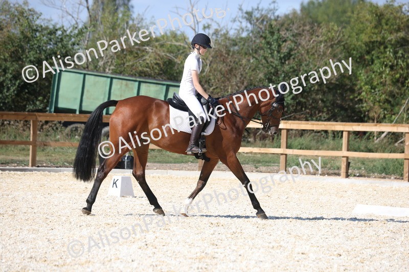 20260905-1515 - Class 5 - Novice 2