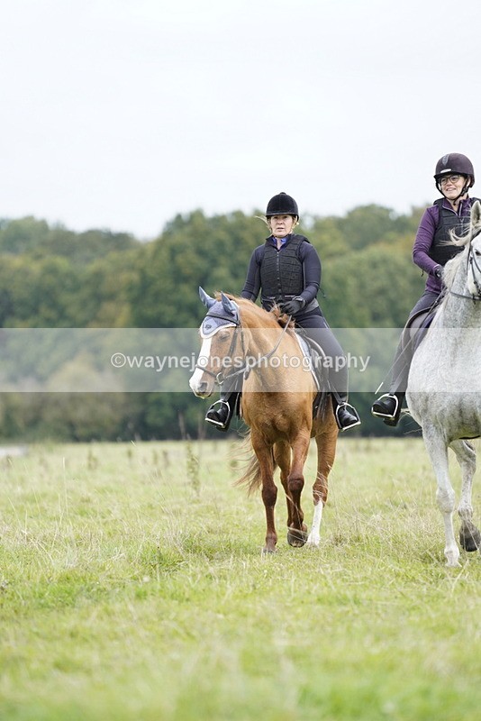 _DSC7121 - Time at Photographer 10:43 to 11:19