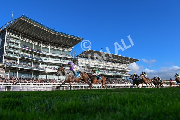 yr07102022r6-28 - Race 6 5.00pm William Hill Lengthen Your Odds EBF Novice Stakes