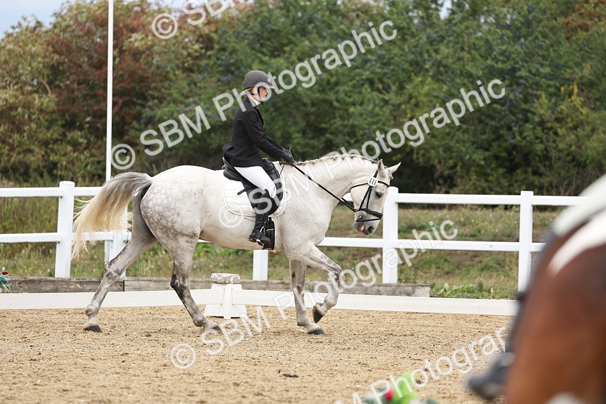 SBM_003578 - Class 7 - Novice 2 Warm Up