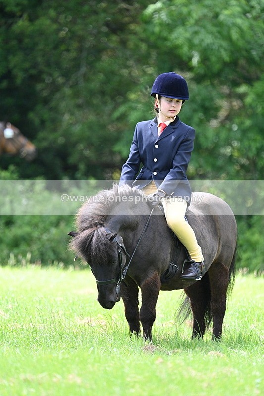 WJ7_1533 - Class 11 Condition & Turnout
