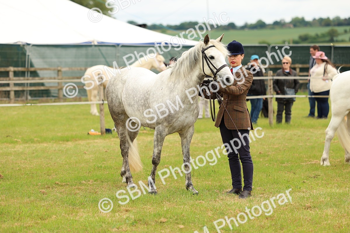 SBM_04228 - Class 64-67 - Shetland Pony In Hand