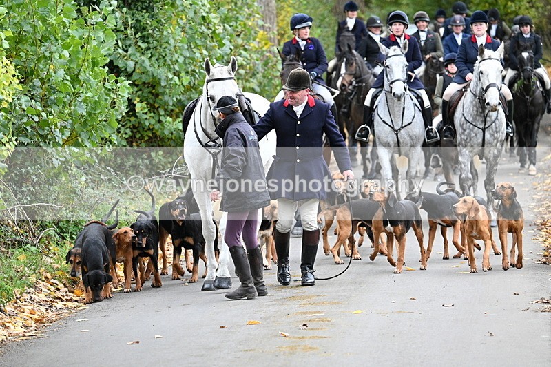 WJ7_7174 - Walk Home..