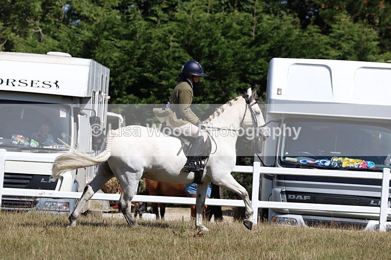 3E7A6352 - Working Hunter Championship
