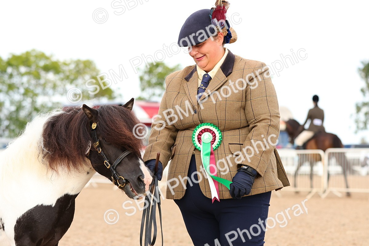 SBM_10351 - Class 206 - IH Non Show Type Pony