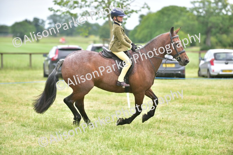 20260614-2677 - Class 13 - Pony Club Pony