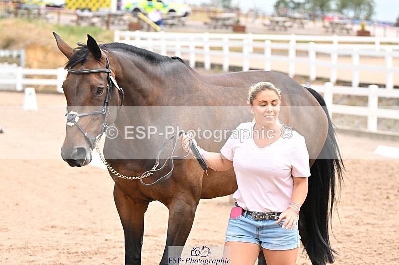 250716-143946-01280 - Trot Up 2.30 to 3.30