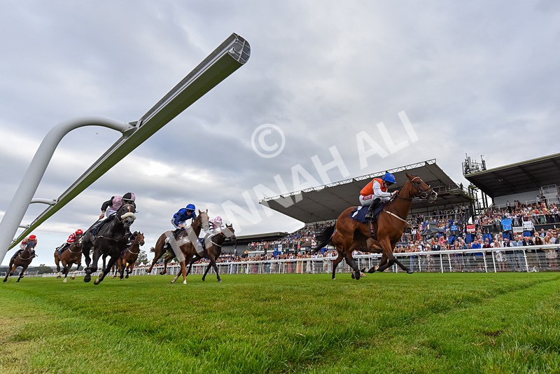 140824-Race 7-Willolarupi-3532 - Race 7