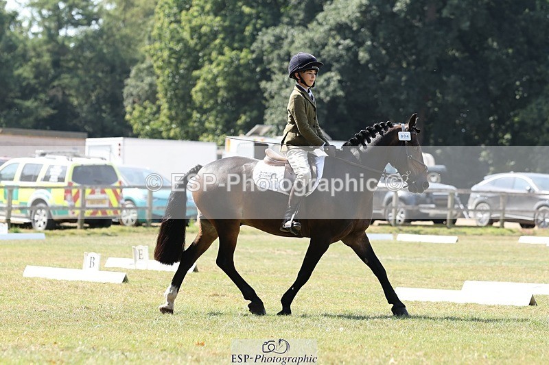 250823A-123156-29813 - Arena C