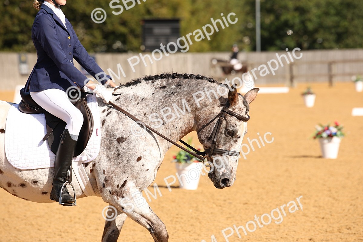 SBM_01966 - D2 Small Tour Championship Intro C