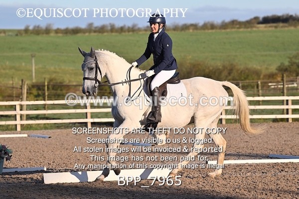 BPP_7965 - LONG ARENA