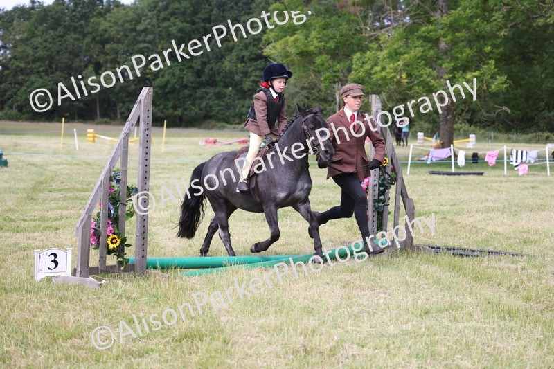 20260614-0575 - Class 20 - Beginners Working Hunter Pony