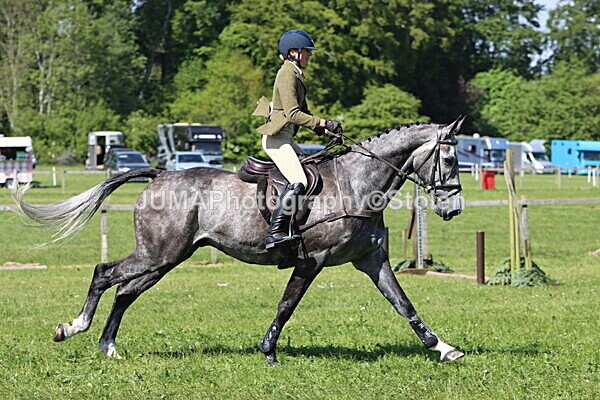IMG_4626 - Working Hunter