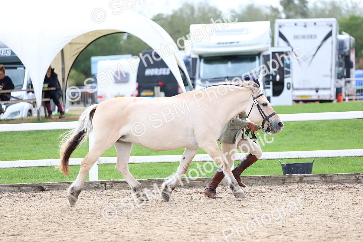 SBM_03914 - Class 25 - IH Foreign Breeds - Pure Bred