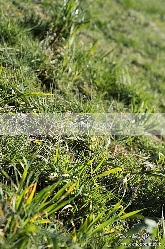 PtP 210326 462 - VWH Cirencester Races 21/03/26