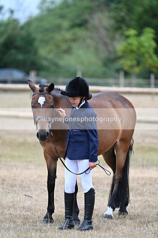 WJ7_9656 - Class 5 Most Handsome Gelding (up to 14.2hh)