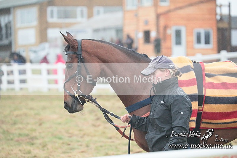 PtP 101223 176 - New Forest Hounds PtP Larkhill 10/12/23