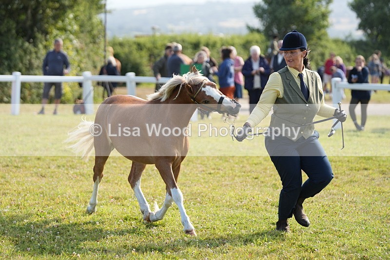 DSC05033 - Class 48: NPS M&M 2/3 year olds