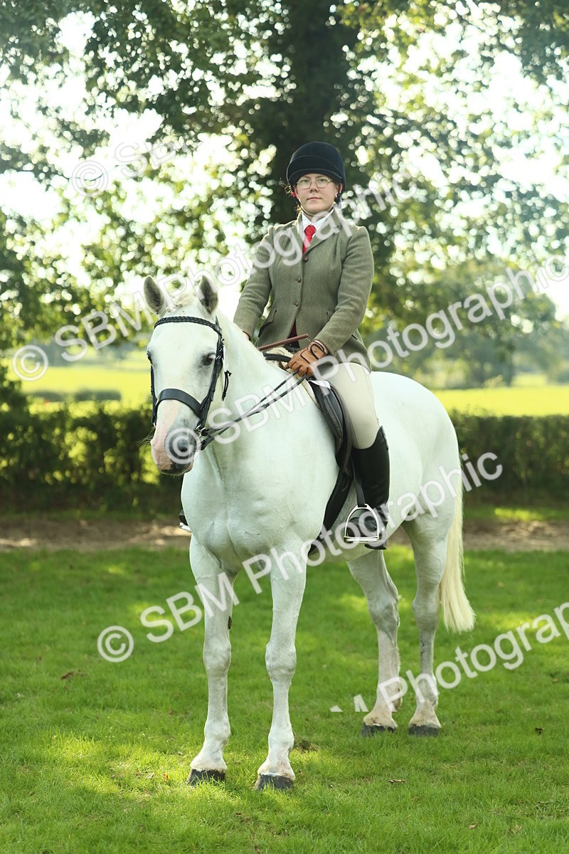 SBM_52181 - S33 - Working Hunter & Working Show Horse