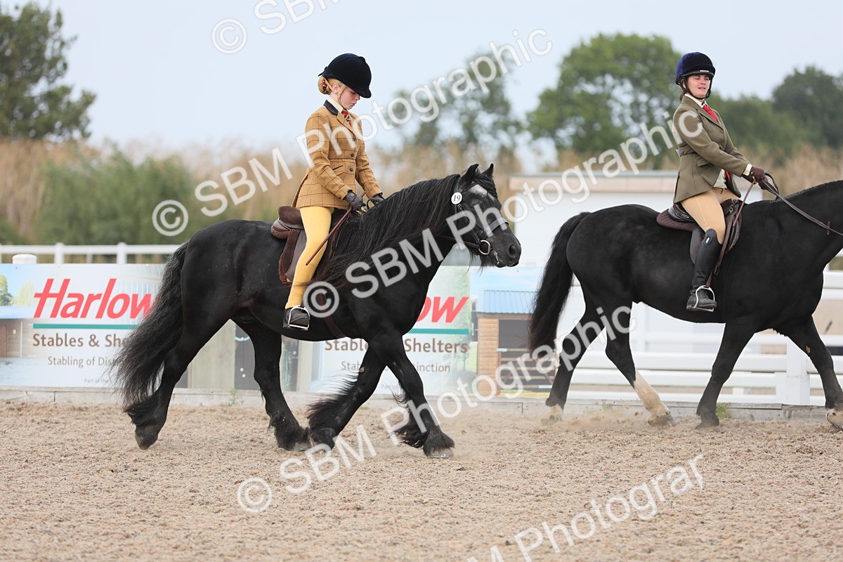 SBM_16864 - Class 314 Family Horse/Pony