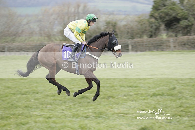 PtP 050323 429 - Blackmore & Sparkford Vale Hunt PtP - Somerset 05/03/23
