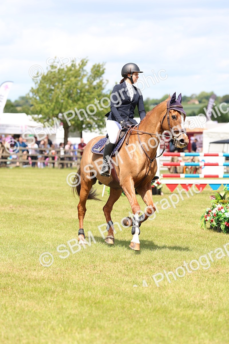 SBM_15550 - Class 207 - Senior 1.15m Open