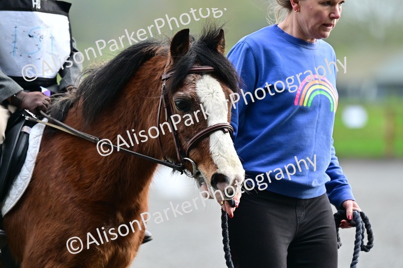 20260125-0962 - Class 9a - Walk Trot Assisted