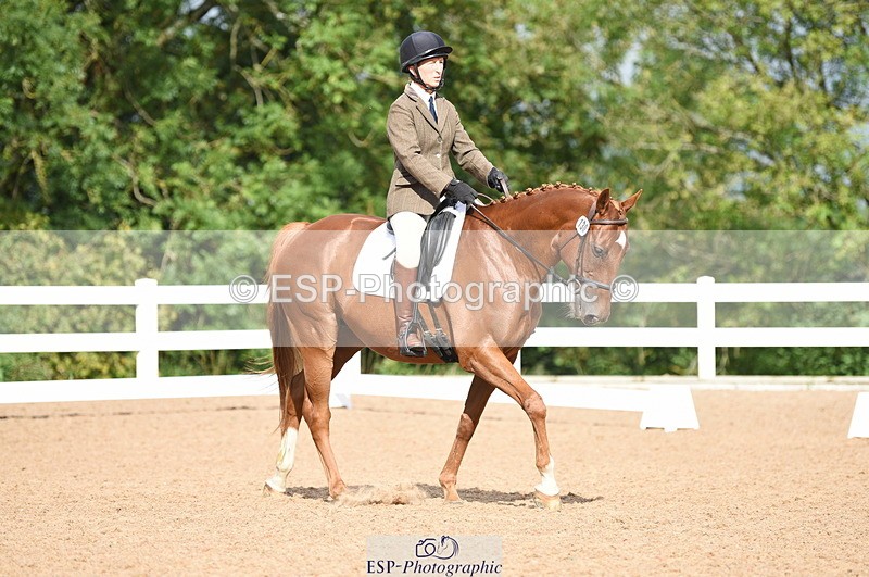 230912A-104534-00424 - Cls 5 Novice 39