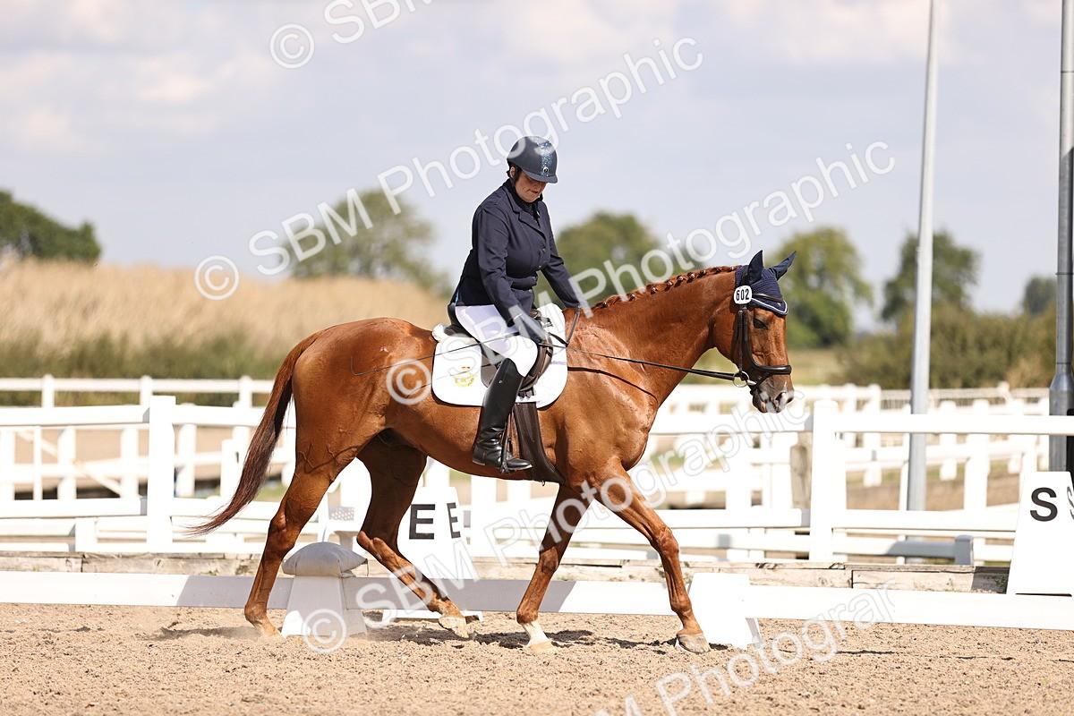 SBM_03660 - CLass 35 Intro 3