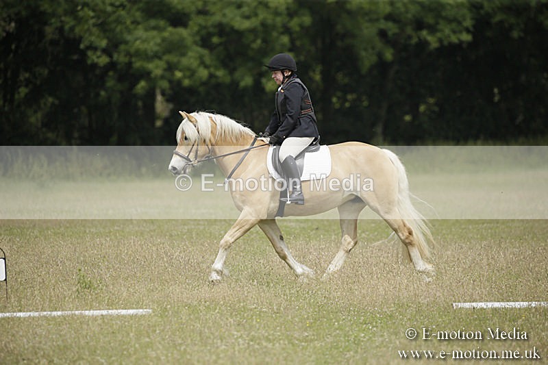 B230619-0408 - Bourne Valley Riding Club Summer Show 23/06/19