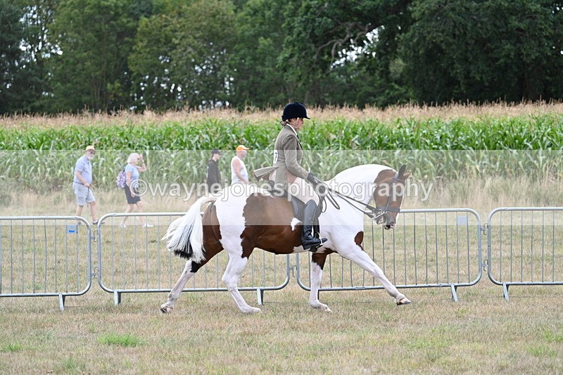 WJ7_5232 - Class 12 Ridden Cob