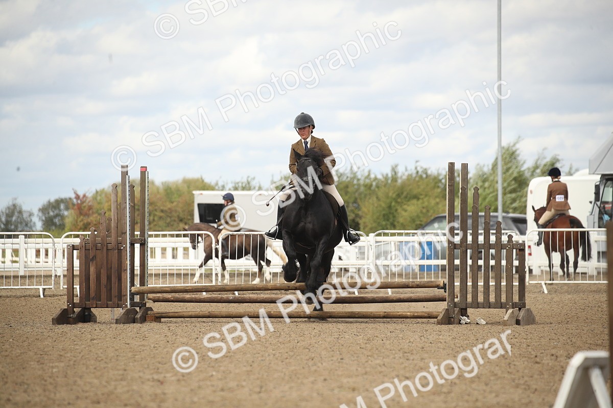 SBM_14537 - Class 505a - M&M Working Veteran - 50cm (15-19)