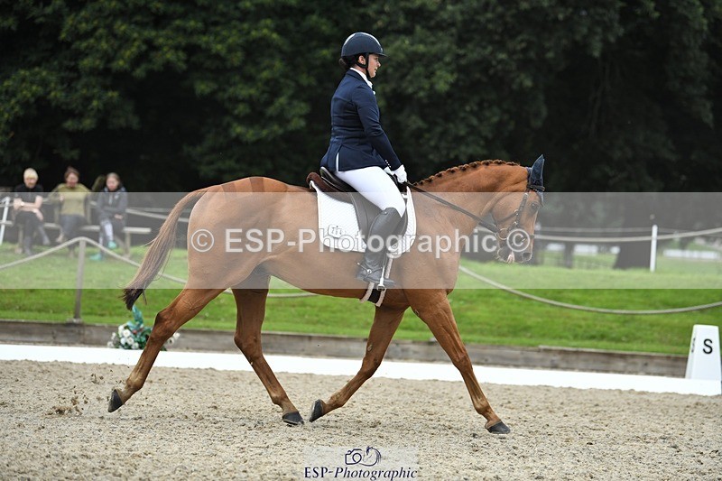 230812-122626-04115 - Cls 6 Novice Silver 12.10 to End