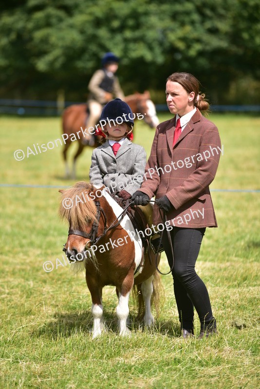 20260614-1209 - Class 11a - Lead Rein Pony (Unplaited)