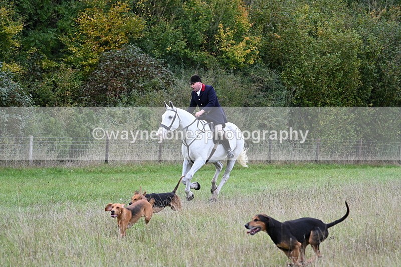 WJ7_3565 - Camera 1 Line 1