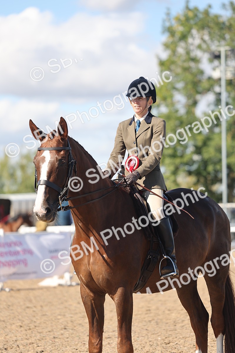 SBM_13110 - Class 305 - Ridden Foreign Breed Pure Bred