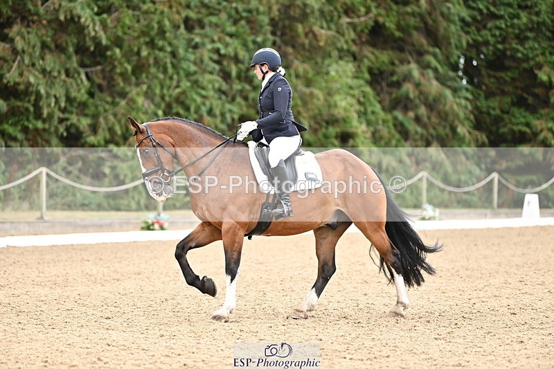 250808A-111330-00414 - 092-Bella.Balian-Beechwood.Joey