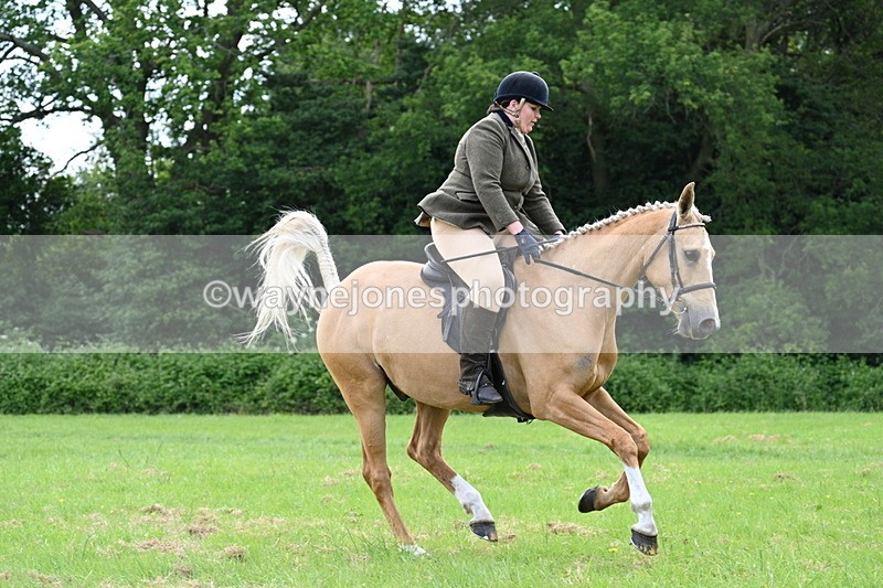WJ7_2513 - Class 12A Coloured Class