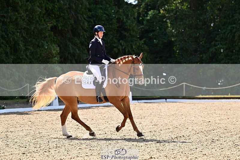 260731A-110048-00188 - Elementary Bronze 10.30 - Break