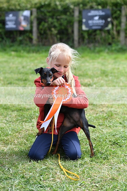 WJ5_0657 - Class 7 Best Terrier