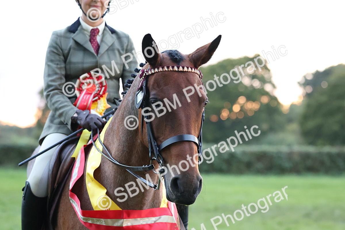 SBM_53446 - Super Supreme Championship (Sat)