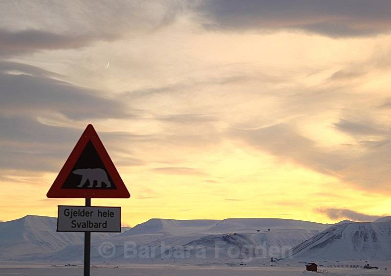 Local traffic hazard 5419 - The daylight returns