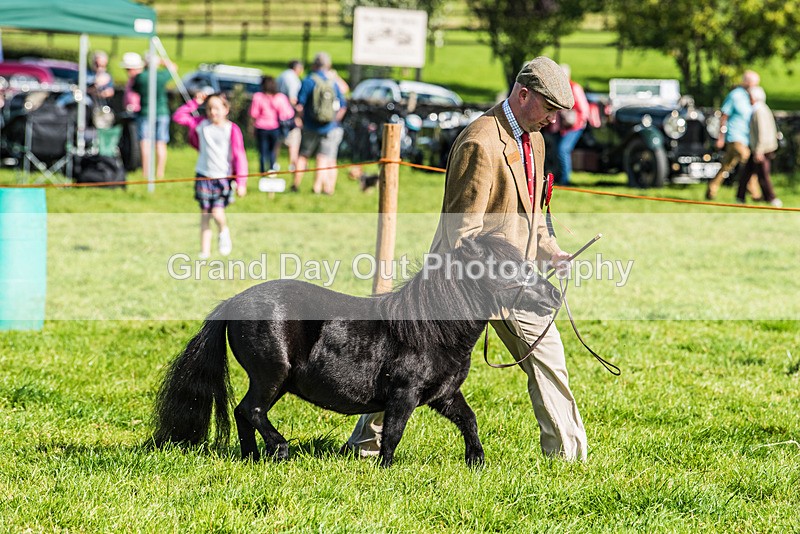 Loweswater Show-22 - Loweswater Show Junior & Senior Fell Races Sunday 3rd September 2023