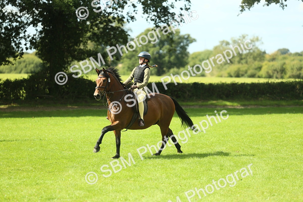 SBM_42994 - S30 - M&M Working hunter Pony