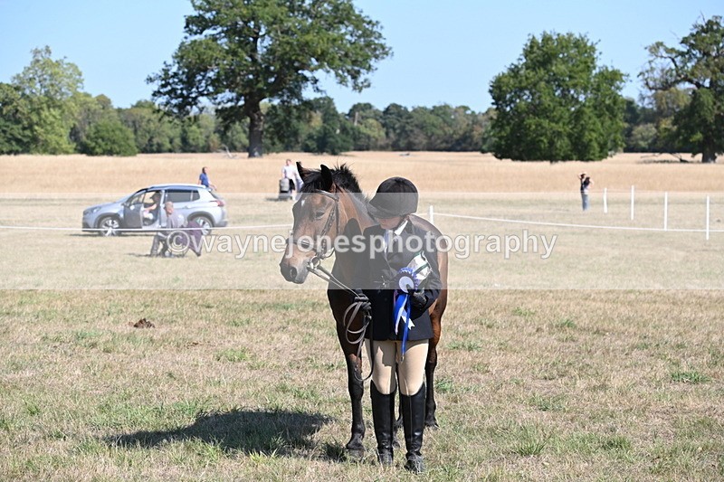 WJ6_7674 - Class 34 Judges Choice