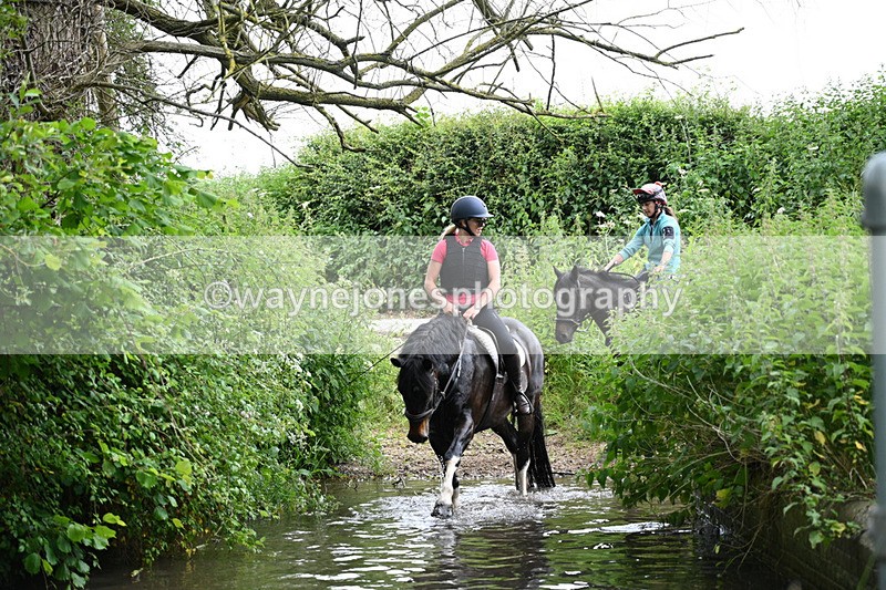 WJ7_2146 - Camera 2 Water Crossing