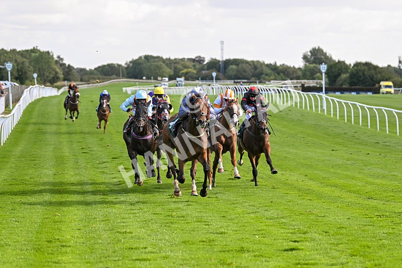 100924-Race 3-Laudable-0167 - Race 3